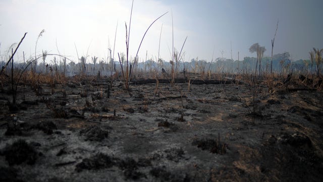 Brazil to reject $20 million offer from G-7 countries to help fight Amazon fires