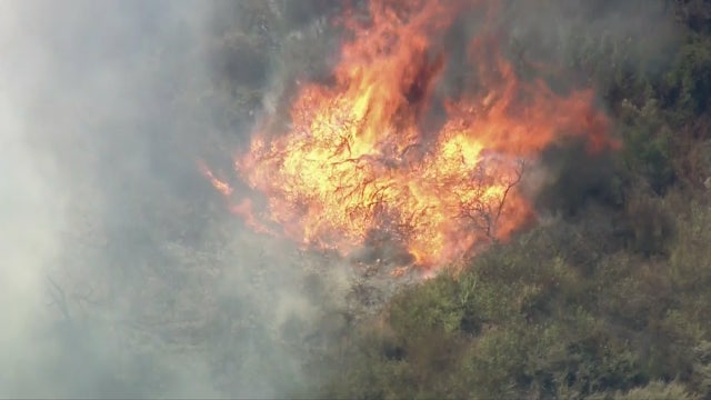 Crews battling brush fire in Pacific Palisades