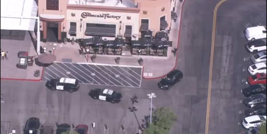 Two people arrested for robbery/grand theft at Topanga Mall in Canoga Park