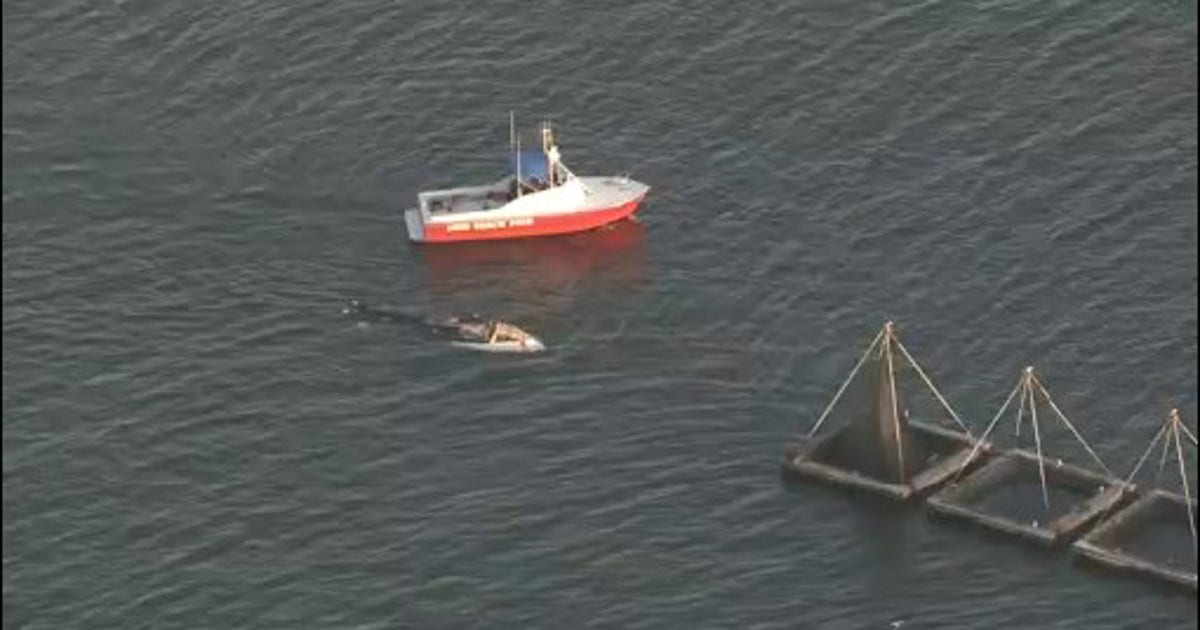 Man dies after boat capsizes in Long Beach | FOX 11 Los Angeles