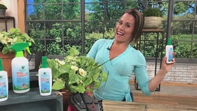 SHE-E-O: Greenerways Organic founded by Jayme Bella