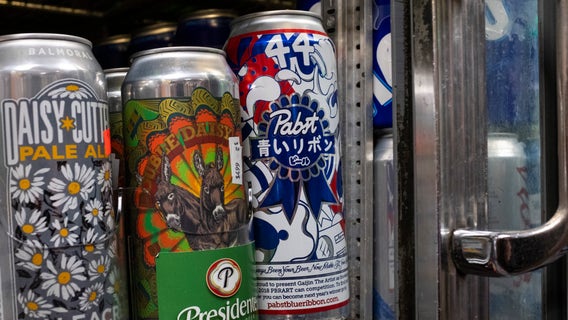 Merriam-Webster adds 530 words to dictionary, including 'tallboy' and 'dad joke'