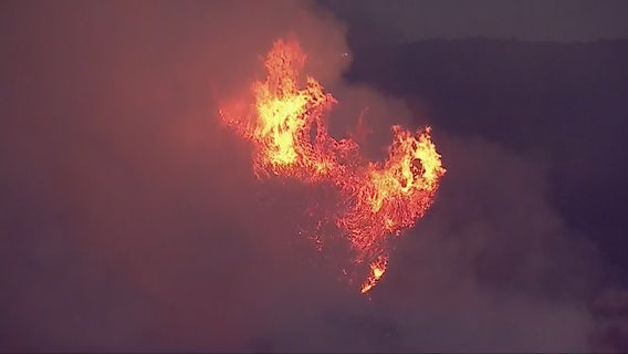 Crews battle rapidly spreading vegetation fire in La Cresta; mandatory evacuations issued
