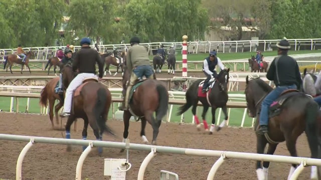 Santa Anita begins fall horse racing season despite 31 horse deaths since December