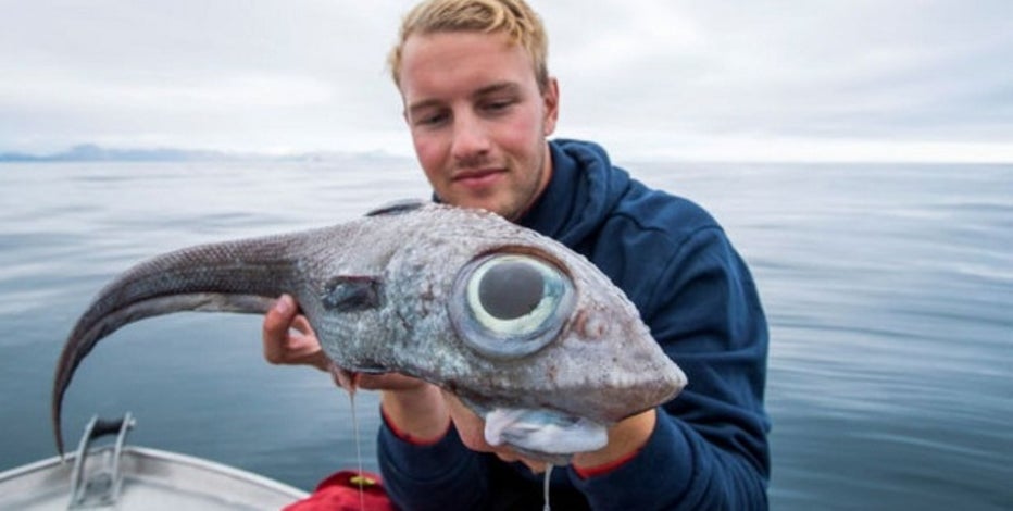 Mother Nature is Crazy': Fisherman Catches Rare Wolf Monster Fish