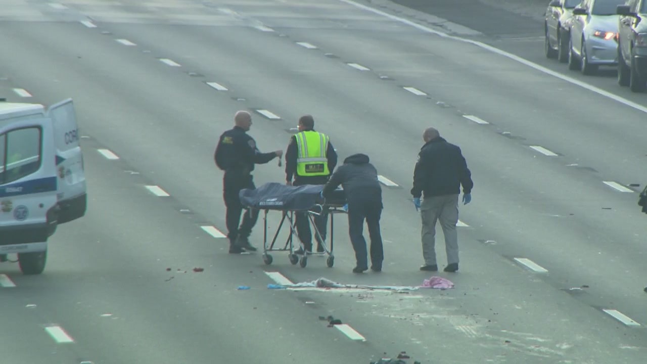 Authorities ID Pedestrian Fatally Injured By CHP Car On 101 Freeway ...