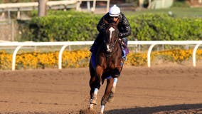 Troubled Santa Anita sees 36th racehorse death, second of weekend