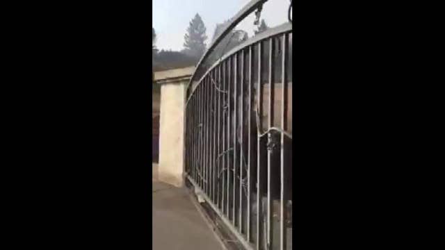 Family finds dog waiting for them at burned home