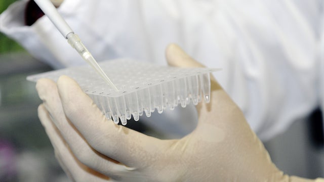 US government to give DNA tests at border to check for fraud