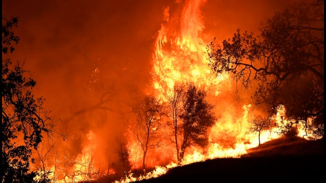 "The only safe place is the ocean": Death toll rises to 31 in California wildfires