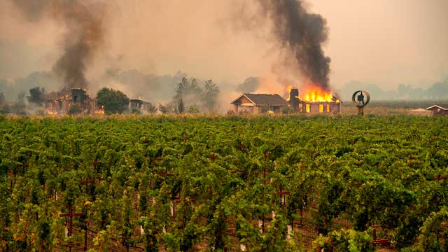 50,000 residents ordered to evacuate Sonoma County as Kincade Fire continues to grow