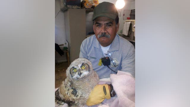 Veteran park ranger captain dies after patrolling parks impacted by wildfires