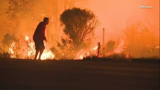 Man bravely rescues tiny bunny from massive California flames