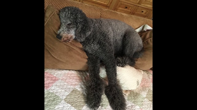 State Senators vote on Aliso Canyon moratorium