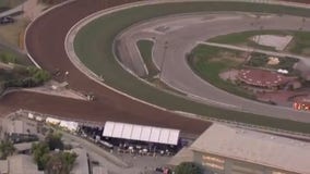 Two horses die within two days at Santa Anita Park