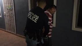 Dozens arrested in Santa Ana gang sweep