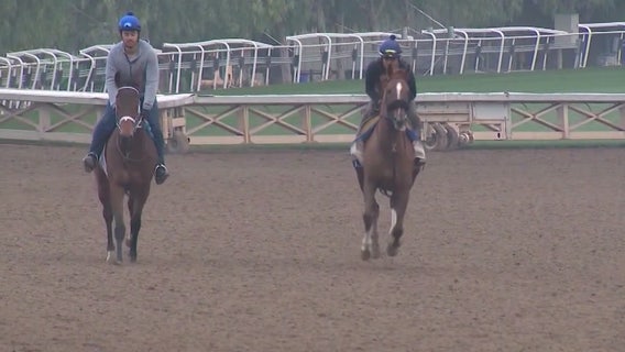 Amid heightened scrutiny, Santa Anita hosts record 10th Breeders' Cup