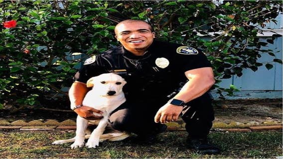 Police officer adopts dog he found in stolen car
