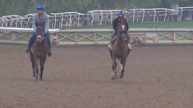 Amid heightened scrutiny, Santa Anita hosts record 10th Breeders' Cup