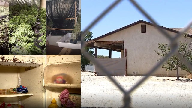 Pinon Hills landlord ruined after tenant converts rental home into marijuana grow house