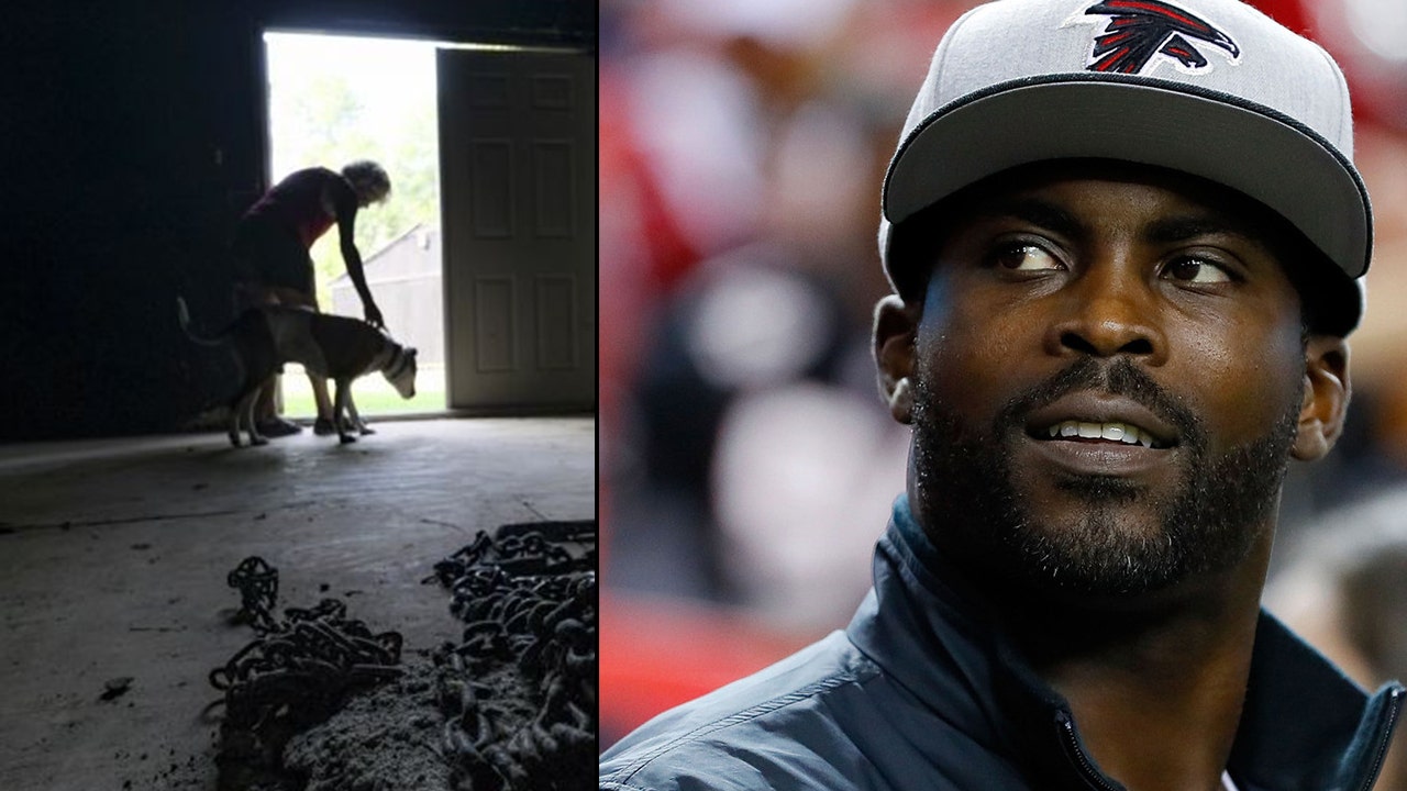 Michael Vick Shocks the World With the Falcons