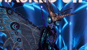 Butterfly unveiled on FOX’s ‘The Masked Singer’ — see the celebrity under the mask