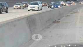 Kitten stranded on busy 91 freeway in Riverside saved by CHP officer