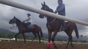 California horse-racing regulators call for new whipping rules
