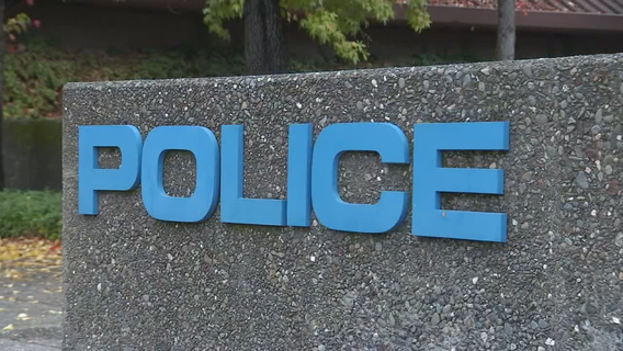 LAPD detective who tried to buy gun silencer from China charged: DA