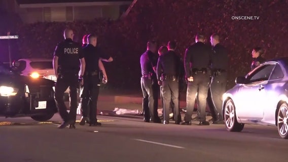 Two brawls, carjacking and police pursuit in Santa Ana result in three arrests