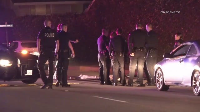 Two brawls, carjacking and police pursuit in Santa Ana result in three arrests