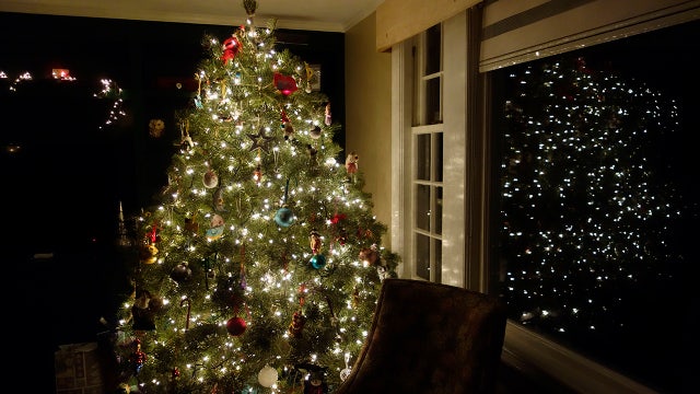 Los Angeles begins Christmas tree recycling program