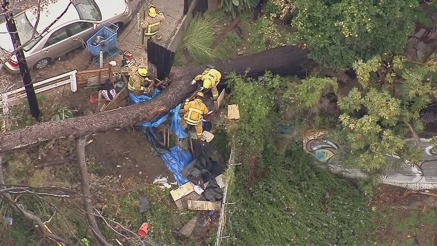 Person Trapped Under Fallen Tree In Echo Park Rescue Underway Fox 11