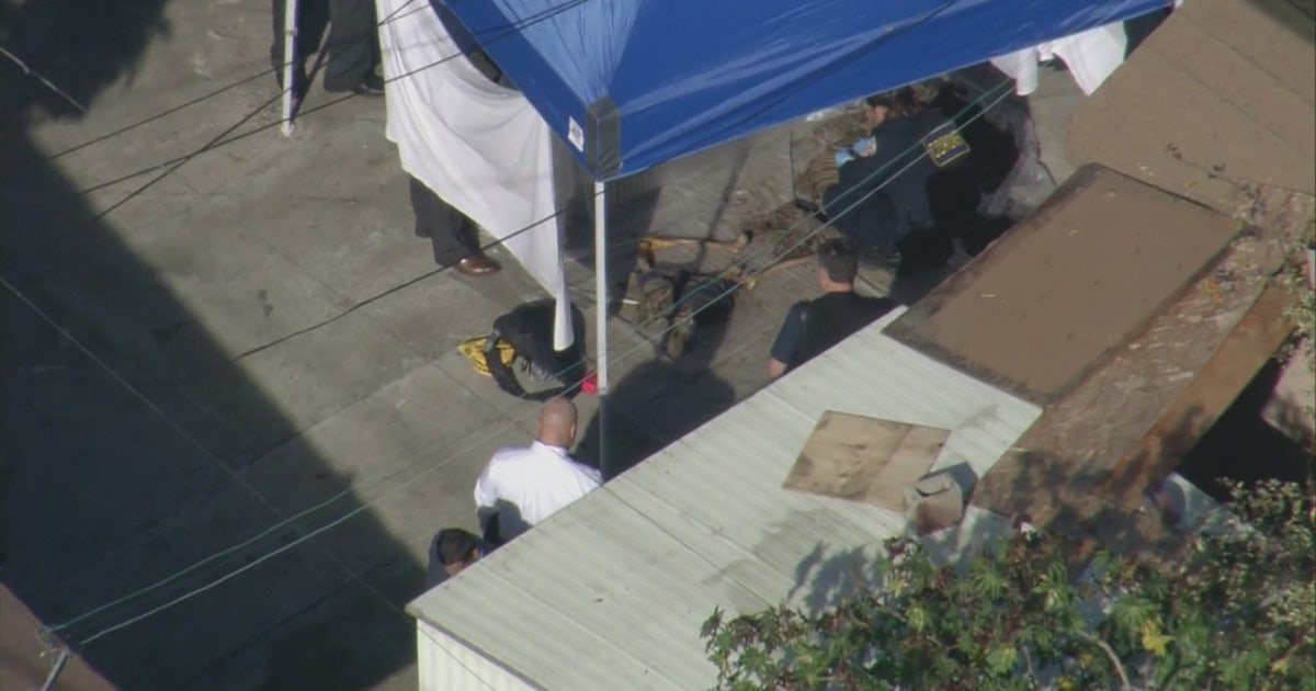 Investigation into human remains discovered behind home in South LA ...