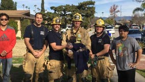 San Bernardino County firefighters save litter of puppies from burning home