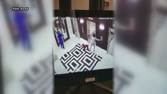 Doctor saves dog from being strangled by elevator