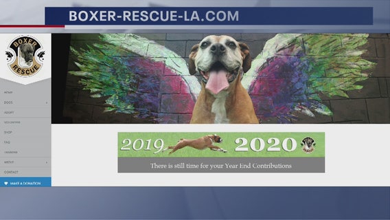 Can't adopt? Support local animal shelter by purchasing its 2020 calendar