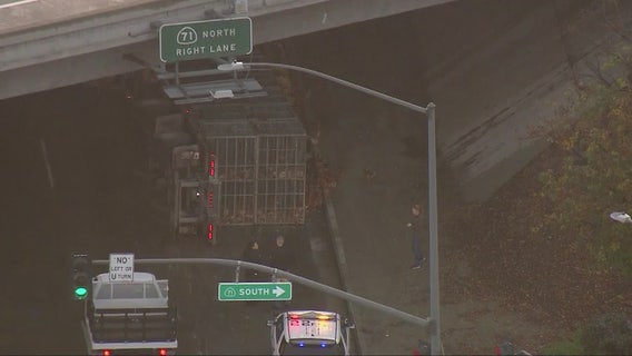 Big rig carrying thousands of chickens overturns in Chino Hills