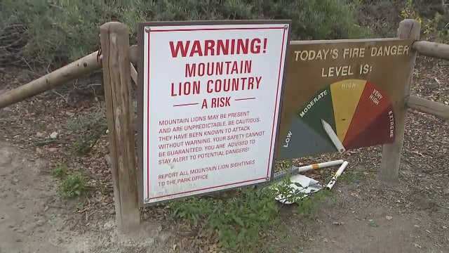 Whiting Park Ranch reopens after mountain lion attacks 3-year-old