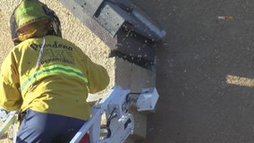 Bee attack in Pasadena sends five people to hospital