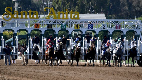 Horse euthanized at Santa Anita after suffering training injury