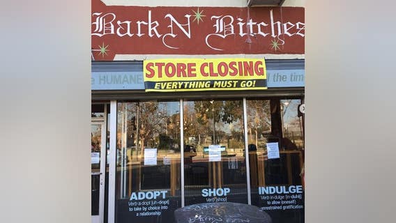 Local rescue known as LA's 'first humane pet shop' forced to close