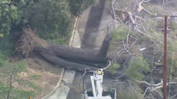 Wicked winds hit Southern California