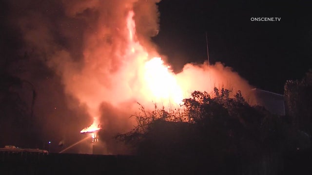 Eight dogs perish in Pomona house fire, officials say