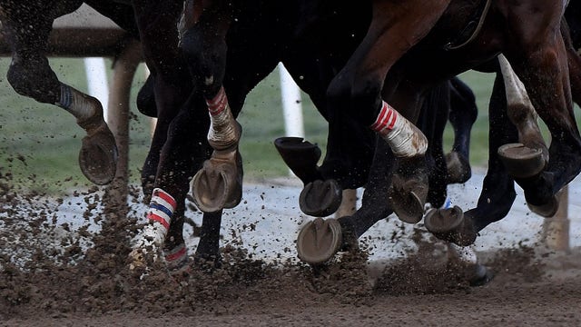 Two horses die at Los Alamitos Race Course