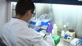 List of 'essential' jobs, businesses