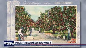 In Depth: 52 in 52 Downey