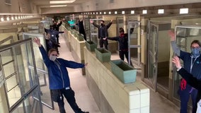Empty animal kennels at animal shelter a welcome sight amid COVID-19 pandemic