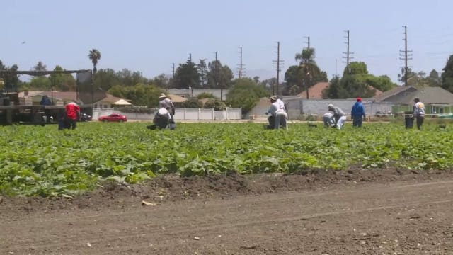 Essential food workers getting 2 weeks of paid leave