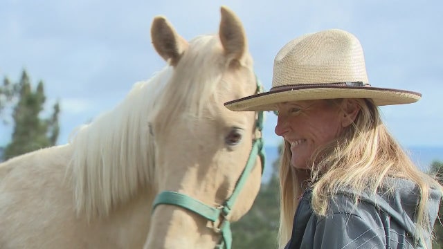 Saving horses during the COVID-19 pandemic